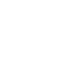 ESG Highlights Strong Governance