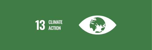 Emissions and Environmental Monitoring