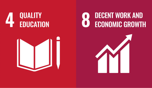 Learning and Capability Development
